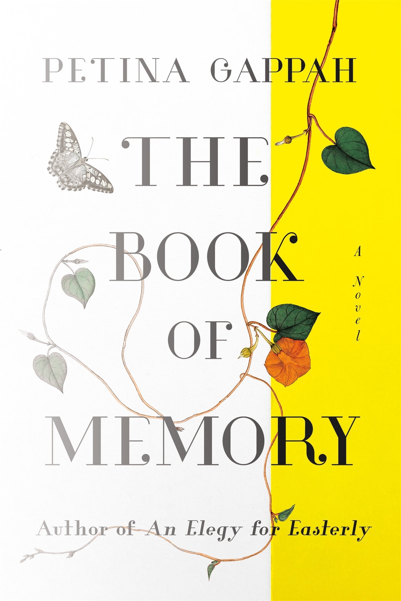 The Book of Memory cover